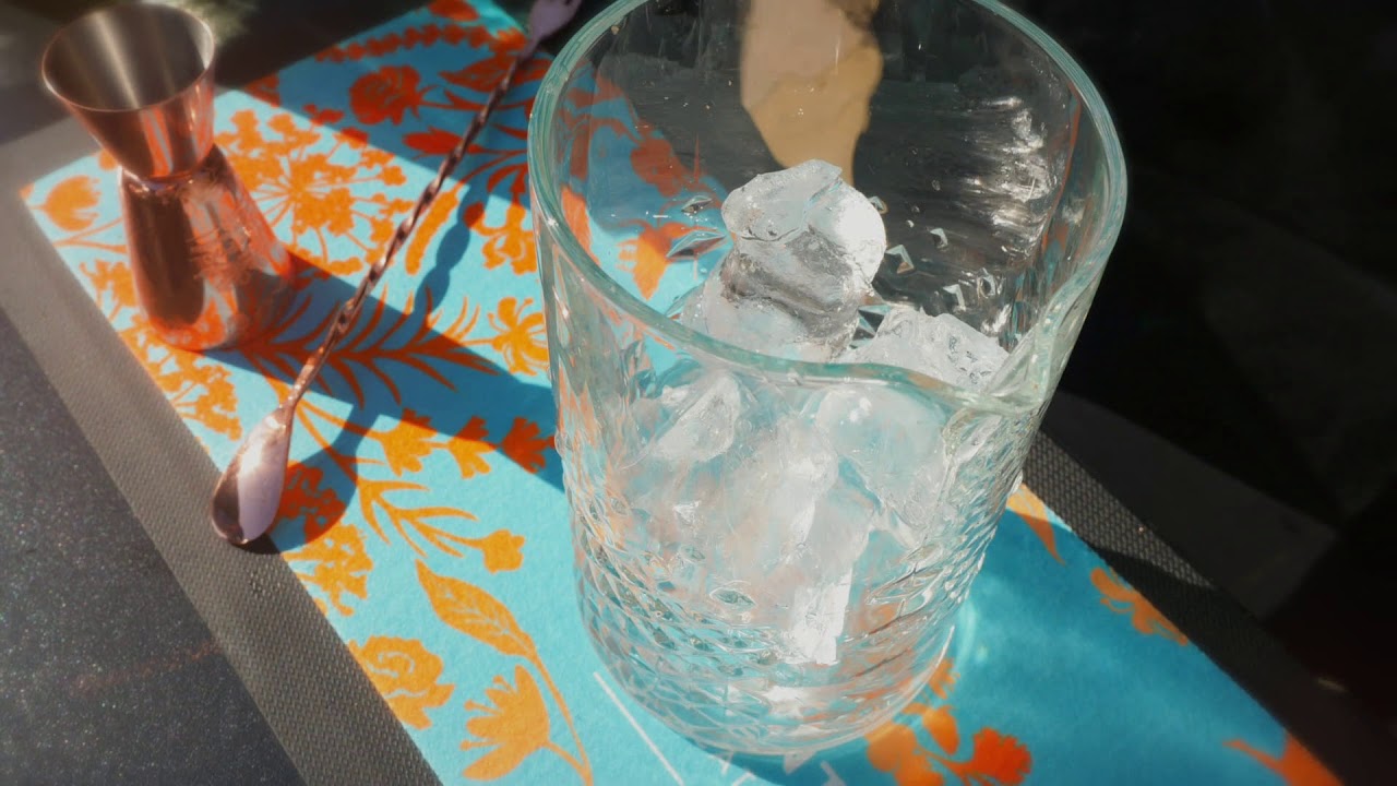 Silent Pool Gin: Gibson Martini