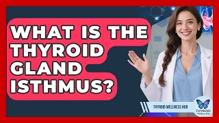 What Is The Thyroid Gland Isthmus? - Thyroid Wellness Hub