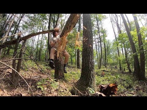 Guy Lumberjacks His Balls On a Tree!