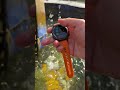 Die Beste Smartwatch Deutschlands! Wir haben für euch die Hyper Smartwatch-PRO getestet! #watch