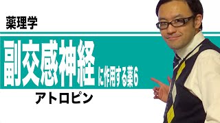 副交感神経系に作用する薬⑥（アトロピン）