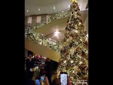 Christmas tree lighting at Marriott