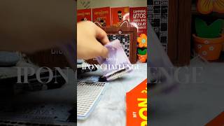 DAY 66 IPON CHALLENGE #iponaryo
