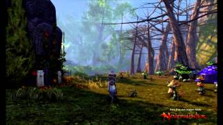 Neverwinter Foundry - The absence of light