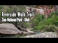 Riverside Walk Trail | Hiking in Utah's Zion National Park