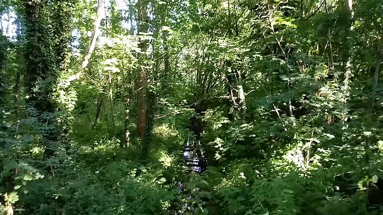 360 Wildlands Walkway