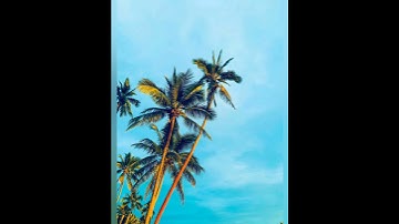 سورة الفيل ( القارئ هزاع البلوشي )