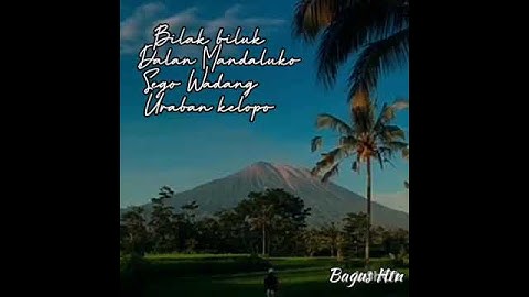 Story WA bahasa Using Banyuwangi Ono parane.