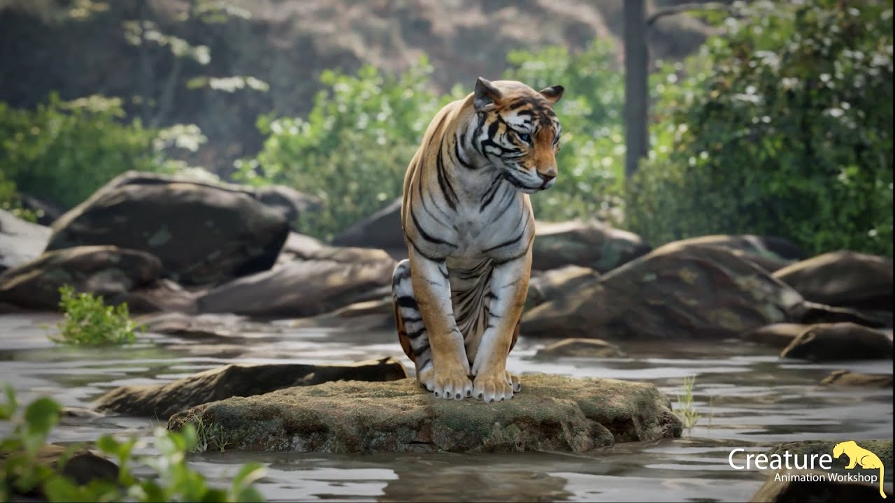 WS01 Simple body mechanics & behaviours