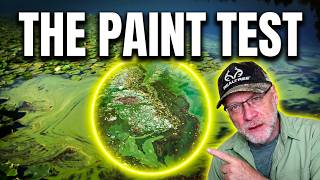 Pond Q&A: Identifying and Treating Harmful Algae Blooms (HABs)