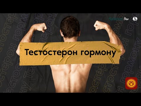 Video: Тестостерон аз болсо сөөктөрүңүздү коргоонун 3 жолу