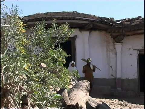 Eritrean Music - Ho! Ybehal Alo - ሆ! ይበሃል ኣሎ