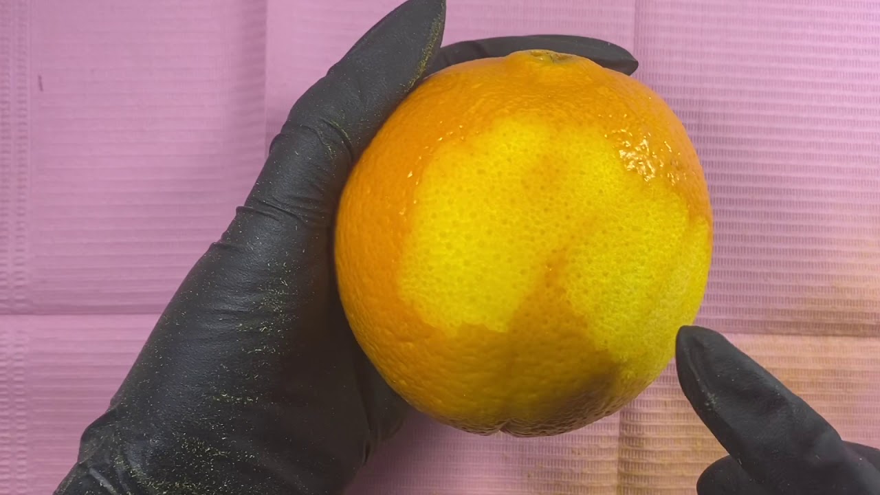 Disco de pedicure Staleks Pro Pododisc (Parte 3)