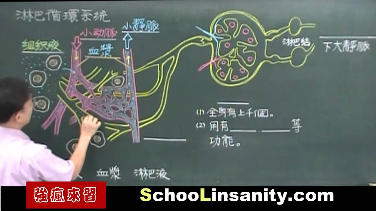 強瘋來習-國中生物04-淋巴循環系統.mp4