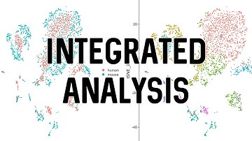 Integrated Analysis | scRNA-Seq Analysis in Seurat