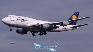 Lufthansa - Boeing 747-430 D-Abvs - Landing At Frankfurt Am Main Eddffra