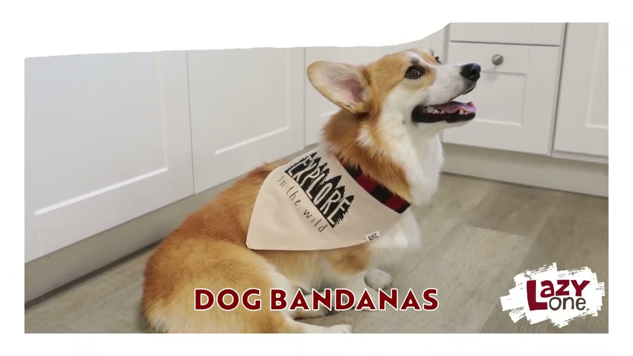 Reversible And Adjustable Dog Bandanas