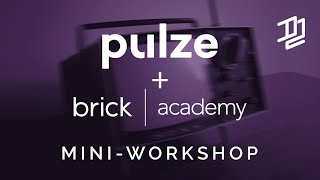D2 Online 2020 - Pulze / Brick Academy Mini-Workshop