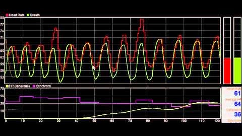 Introduction to the Mindfulness Technology Heart Rate Coherence Application