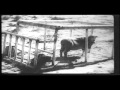 To Sleep as Animals book trailer (Chapter 0)