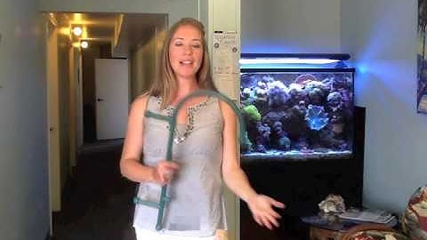 How to use the Theracane