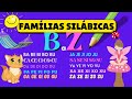 Famlia silbica completa b a z  alfabeto ilustrado  aprender o alfabeto em portugus