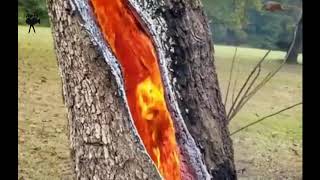 WHEN LIGHTNING STRIKES WATER