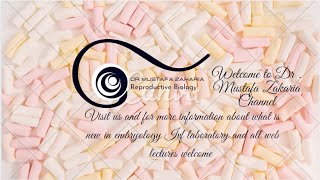 Quality control in the IVF laboratories