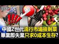 中國經濟問題與抗議
