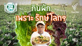 กินผักเพราะรักษ์โลก | จานนี้...มีเรื่องโลก