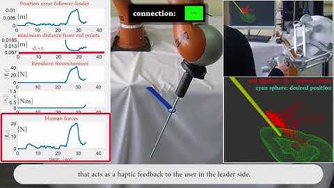 Bilateral  leader-follower  robotic surgical  setup  imposing  RCM  and  active  constraints