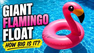 How Big Is This Giant Flamingo Pool Float | Inflating the Jasonwell Flamingo Float