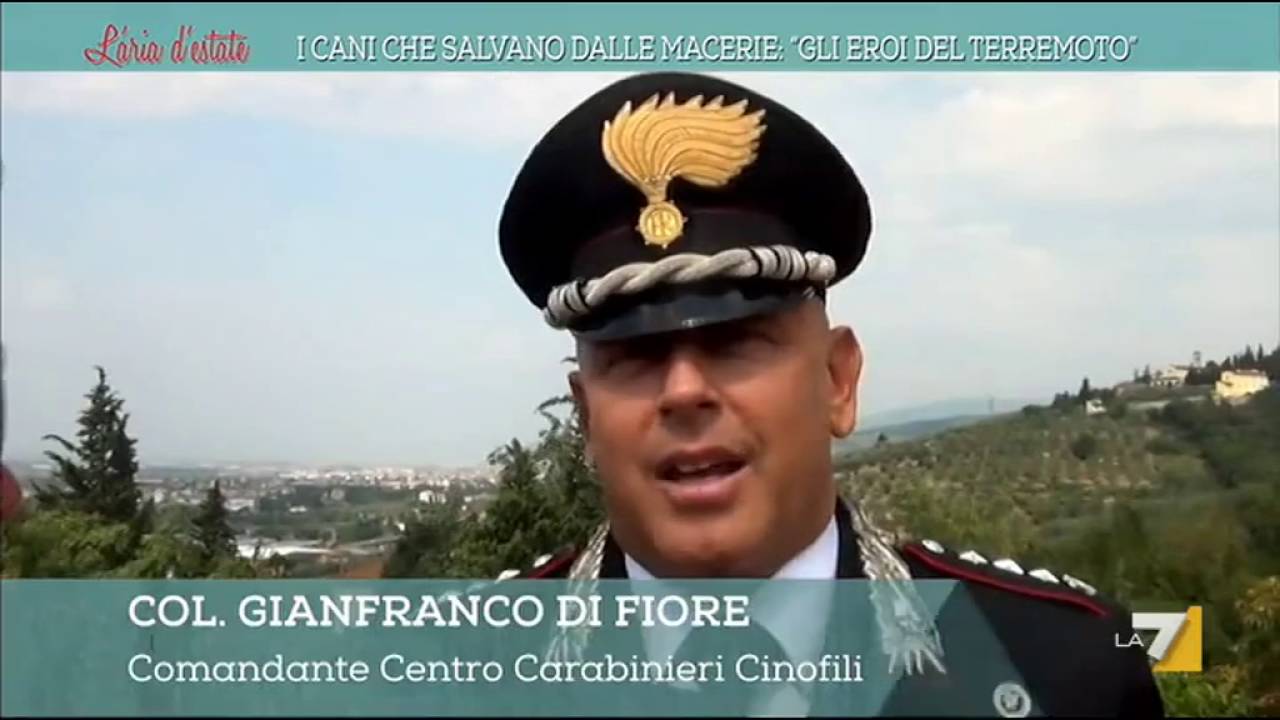 I cani che salvano dalle macerie, 'eroi del terremoto'