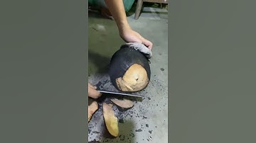 Nướng trái dừa xanh siêu to.  #lùnvlog  #coconutcutting