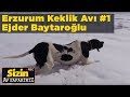 Erzurum keklik av 1 sizin av safariniz  ejder baytarolu yaban tv