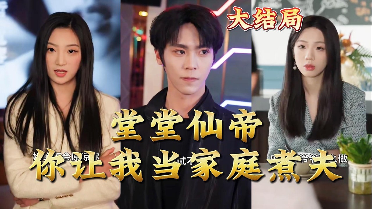 仙帝下凡：家庭煮夫的逆袭人生