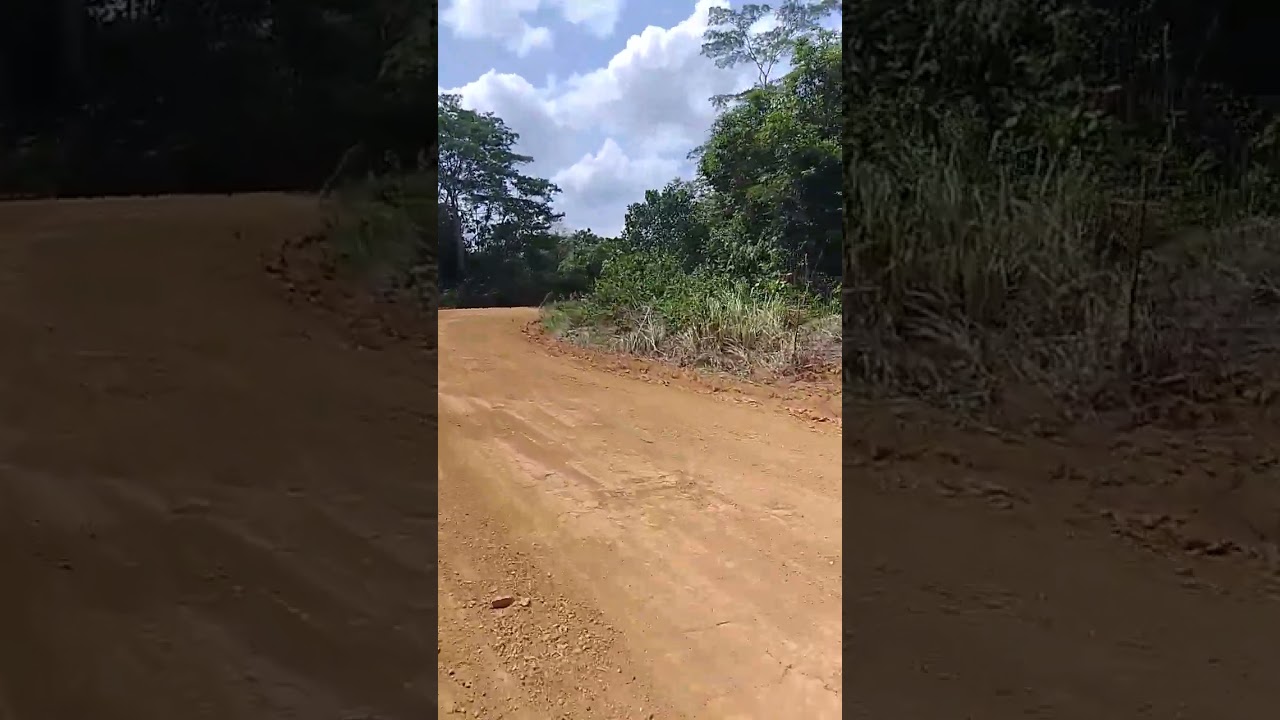 Di jual luas=+100 Ha  surat dari kepala desa skgr/skt hrga 15 jt/ha lokasi sarolangun jmbi