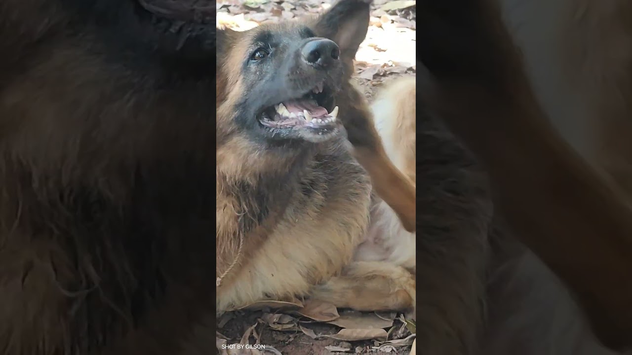 இப்படி ஒரு doctor ah 😨😨 