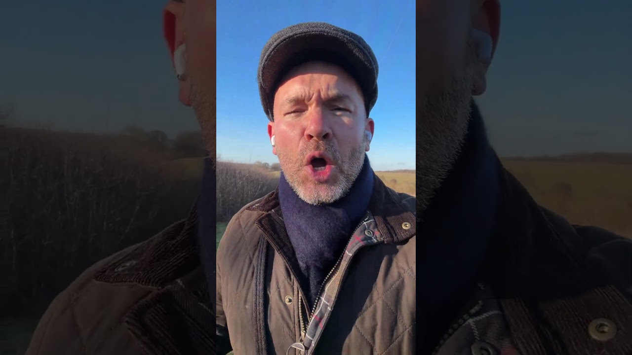 What New Year’s Resolution Would Your Dog Choose for You?