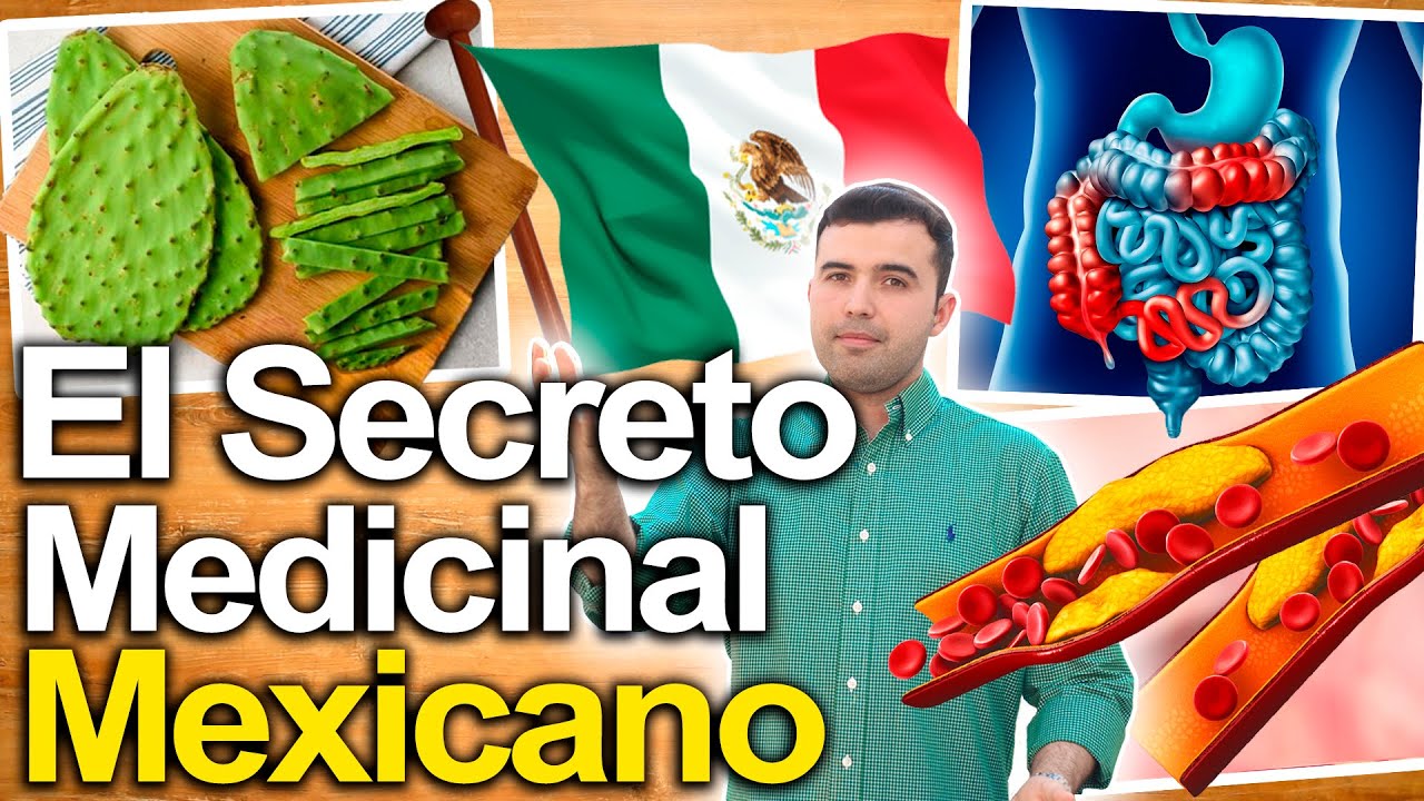 Nopal Para Todo! - El Secreto Mejor Guardado De M�xico  - Para Qu� Sirve Y Contraindicaciones