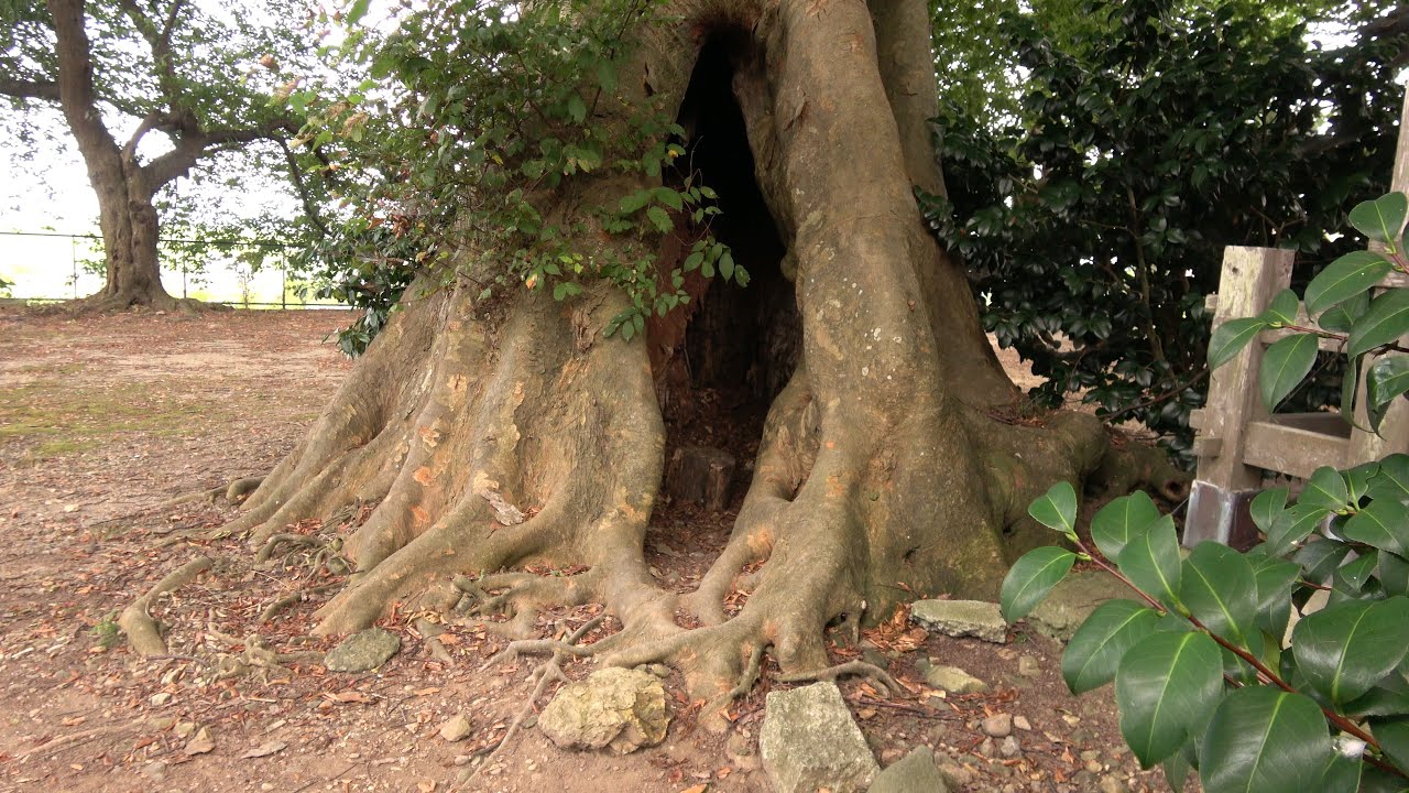 4K にっぽん縦断 こころ旅 トレース 1198日目 新潟県弥彦村 櫻井神社 2023-07-30 ～ 08-03