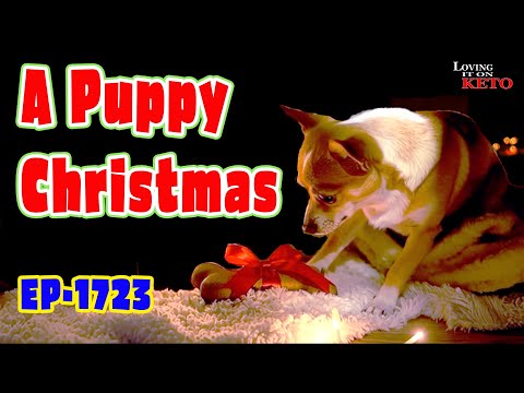 A Puppy Christmas