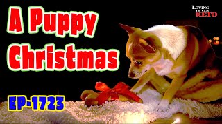 A Puppy Christmas