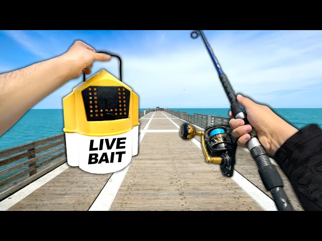 Fishing with the *DEADLIEST* Bait on Earth 