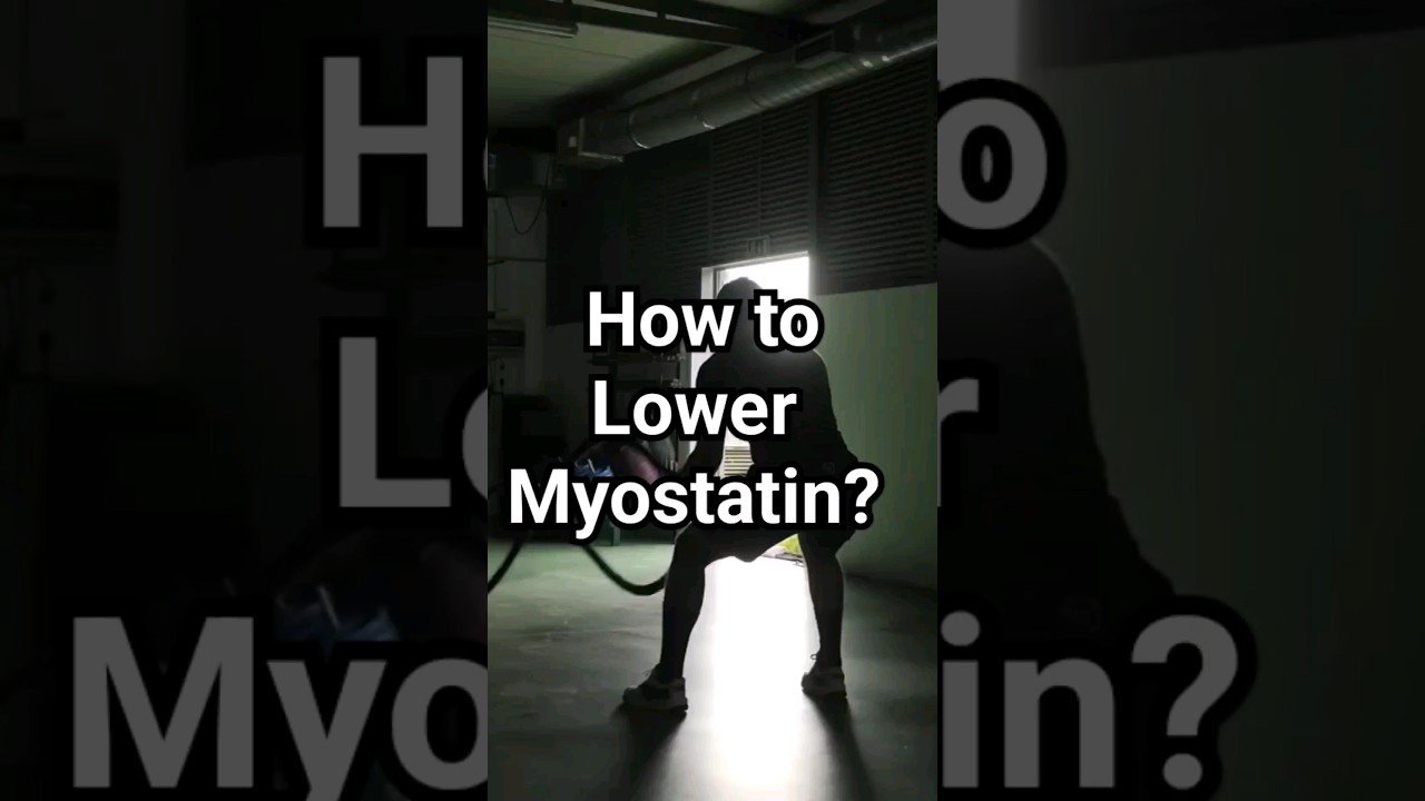 How to LOWER Myostatin for muscle hypertrophy 