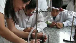Talleres De La Escuela 1254 - Aulas Compartidas Santa Fe.avi