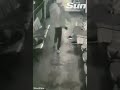 Husband throws wife off ferry in shocking surveillance footage