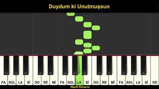 Duydum ki Unutmuşsun Melodika Org Notaları Resimi