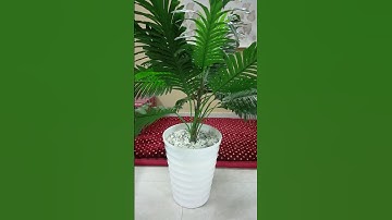 تلاوة خاشعة / خالد المهنا