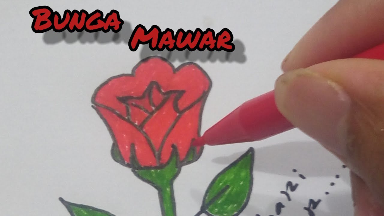 Cara gambar bunga - YouTube